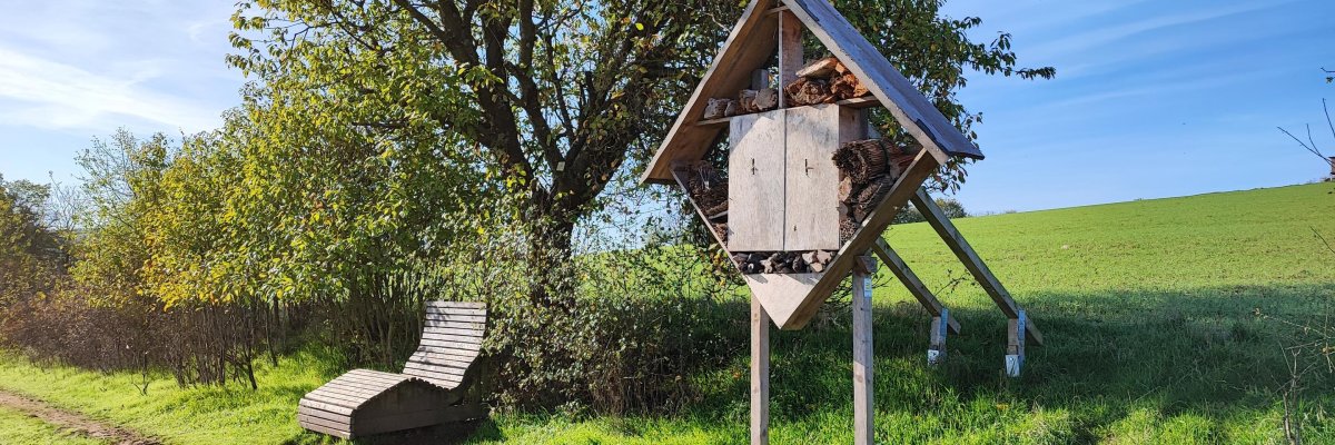 Ruheliege und Insektenhotel Bild zeigt Ruheliege aus Holz und Insektenhotel daneben