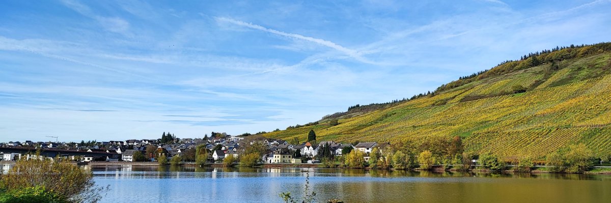 Mehring vom Moselufer Bild zeigt Blick auf Mehring von der Mosel aus gesehen