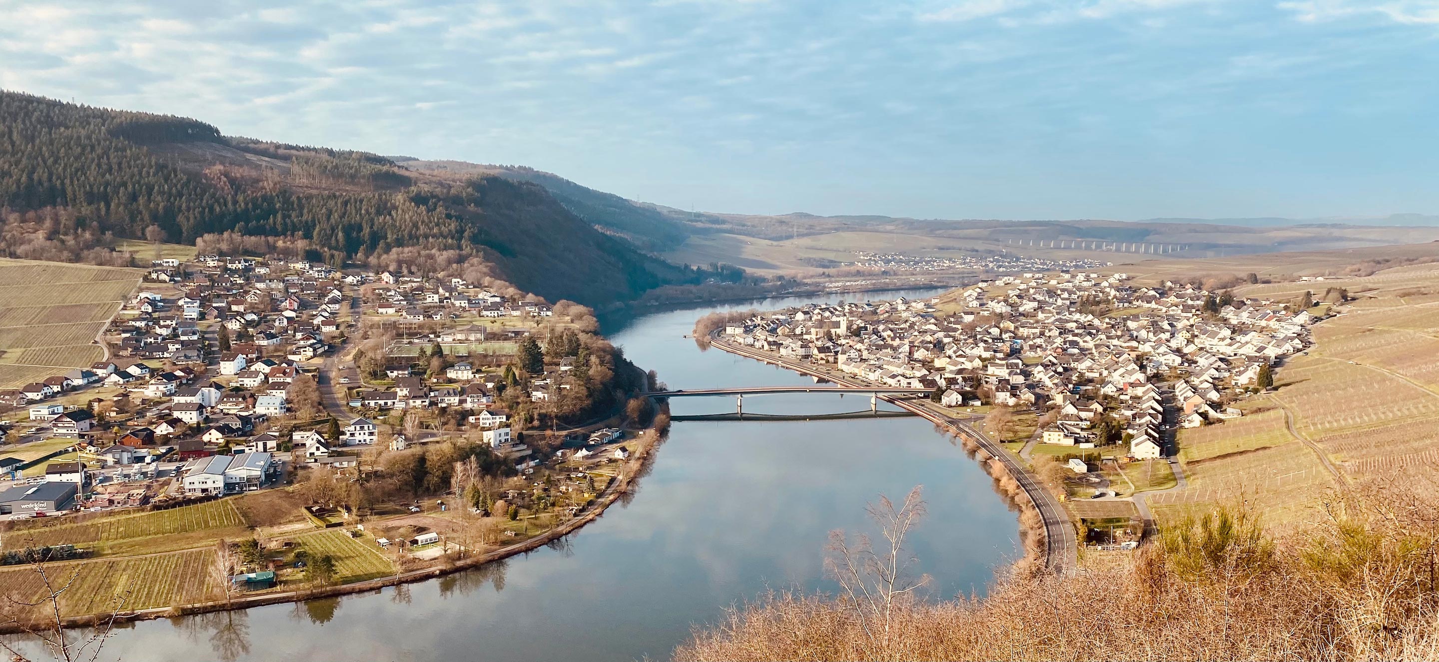 Bild zeigt den Blick auf die Mosel mit Mehring im rechten Bildbereich