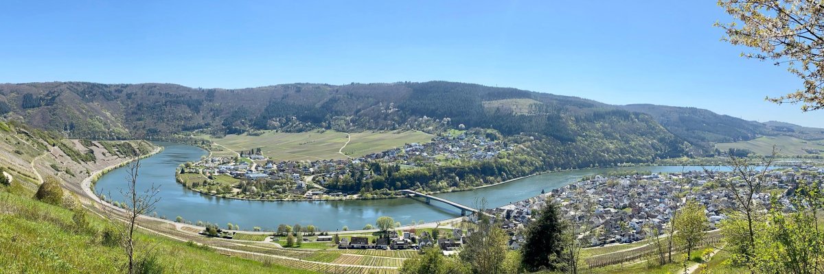 Bild zeigt Mehring und im Hintergrund die Mosel 