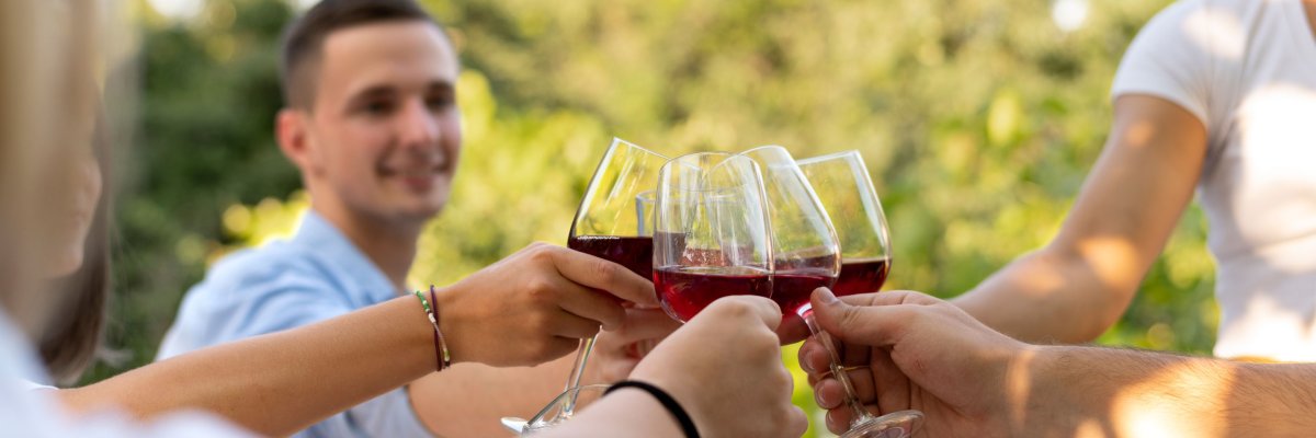 Gruppe mit Weingläsern Gruppe von jungen Leuten stößt mit Weingläsern an