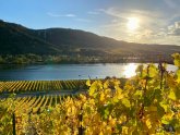 Bild zeigt Blick auf die Mosel von Mehring aus