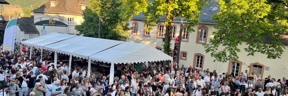 Bild zeigt Blick auf eine Veranstaltung bei der Weintournee draußen mit Besuchern und einem Festzelt im Hintergrund